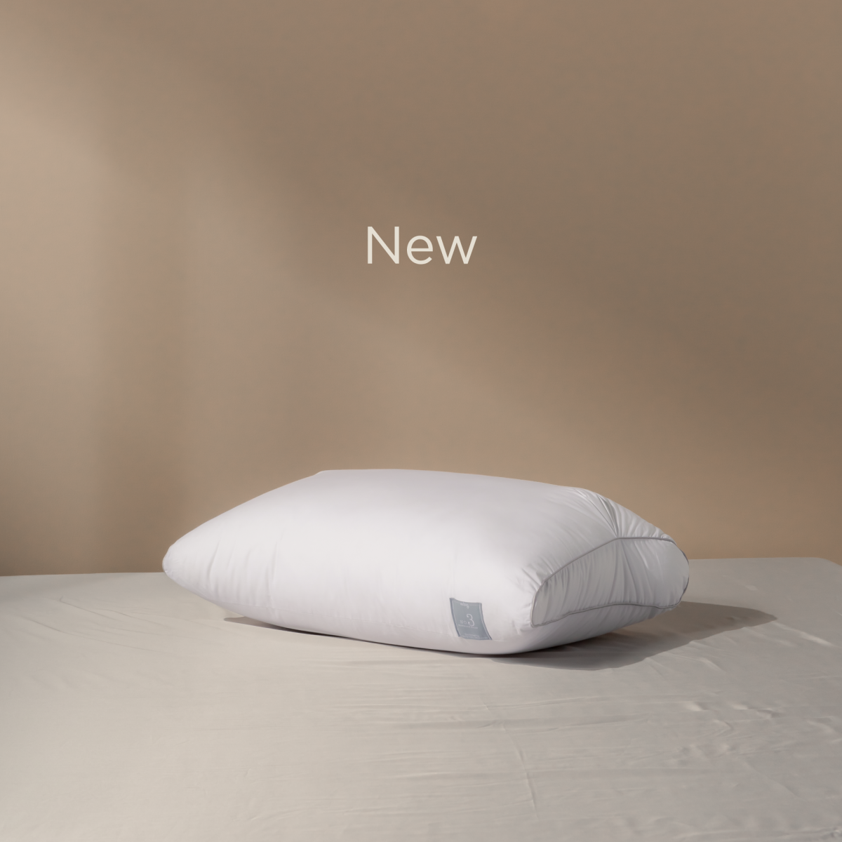 THE NEW BODY SCALE PILLOW NO 3 With Cotton Cover